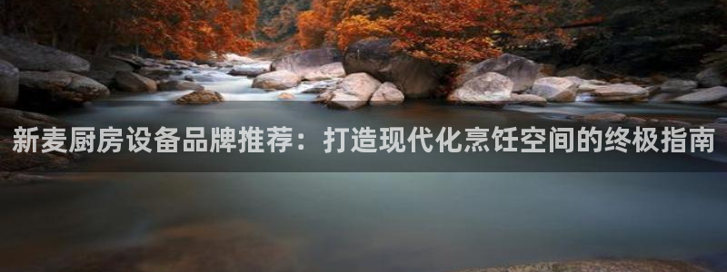 尊龙凯时d5138：新麦厨房设备品牌推荐：打造现代化烹饪空间