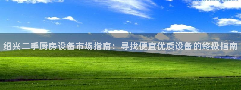 尊龙 am i blue：绍兴二手厨房设备市场指南：寻找便宜