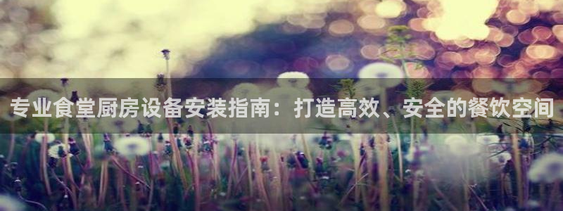 尊龙人生就是博一下下：专业食堂厨房设备安装指南：打造高效、安