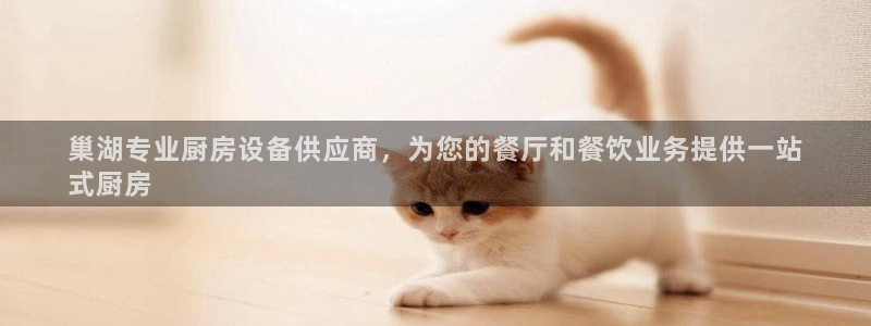 尊龙游戏官网游戏特色：巢湖专业厨房设备供应商，为您的餐厅和餐