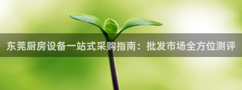 尊龙凯时ag旗舰厅试玩：东莞厨房设备一站式采购指南：批发市场