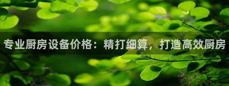 尊龙人生就是博登录网址下载：专业厨房设备价格：精打细算，打造