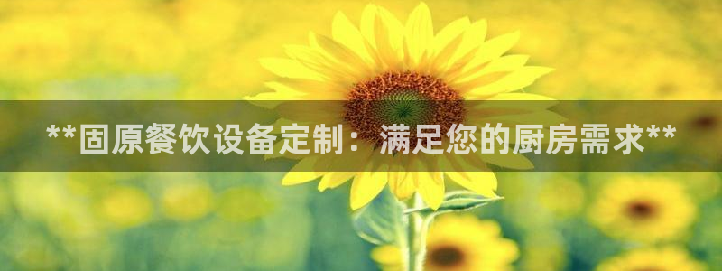 尊龙凯时取款24小时不到账：**固原餐饮设备定制：满足您的厨