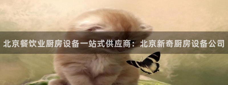 尊龙旗舰厅：北京餐饮业厨房设备一站式供应商：北京新奇厨房设备