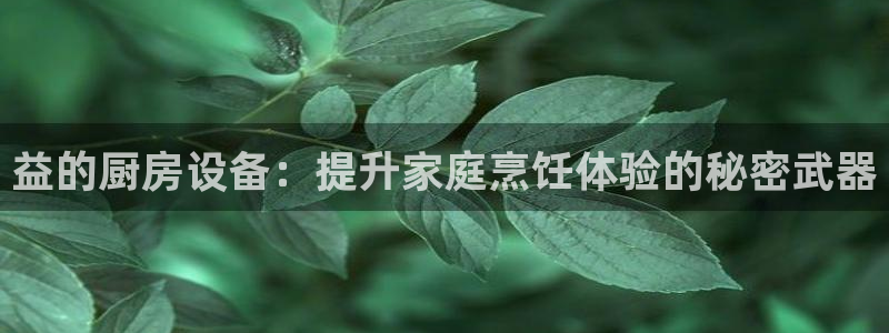 尊龙网页