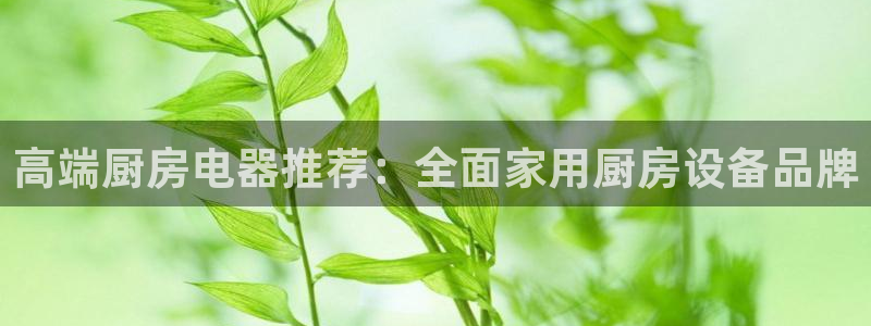 尊龙人生就是博下载