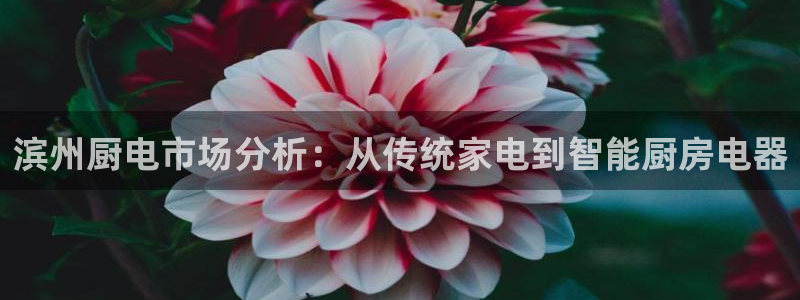 尊龙实业有限公司是正规还是仿