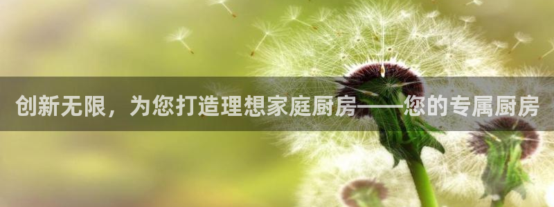 尊龙人生就是博官
