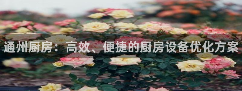 尊龙凯时人生就是搏!官网