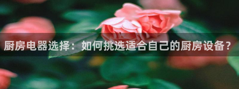 尊龙凯时老板
