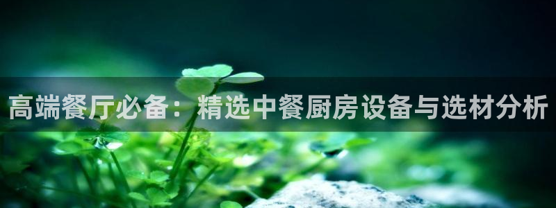 尊龙得过奥斯卡吗