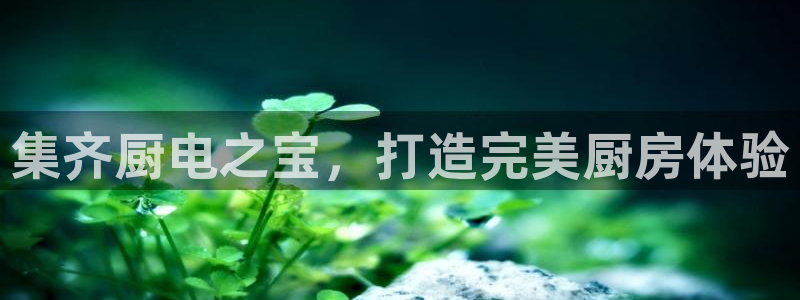 尊龙凯时存款多久到账