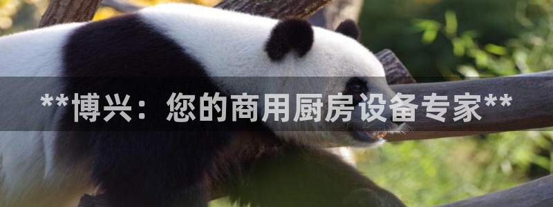 尊龙官方平台：**博兴：您的商用厨房设备专家**
