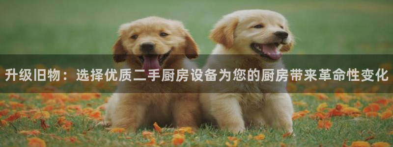 d88尊龙手机客户端下载