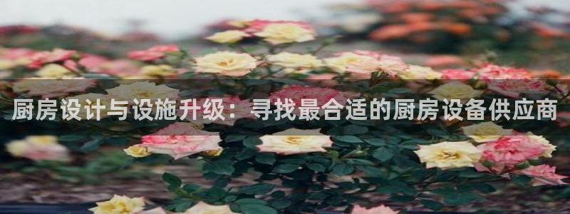 尊龙凯时开发