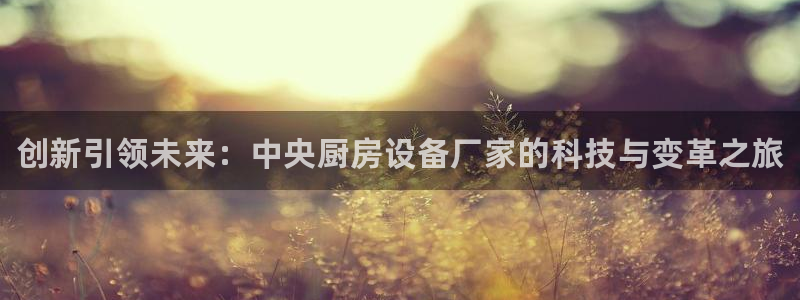 尊龙凯时几百万怎么下款