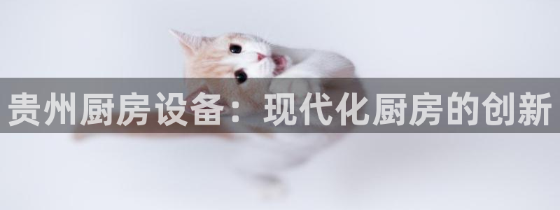 尊龙凯时人生就是搏客户